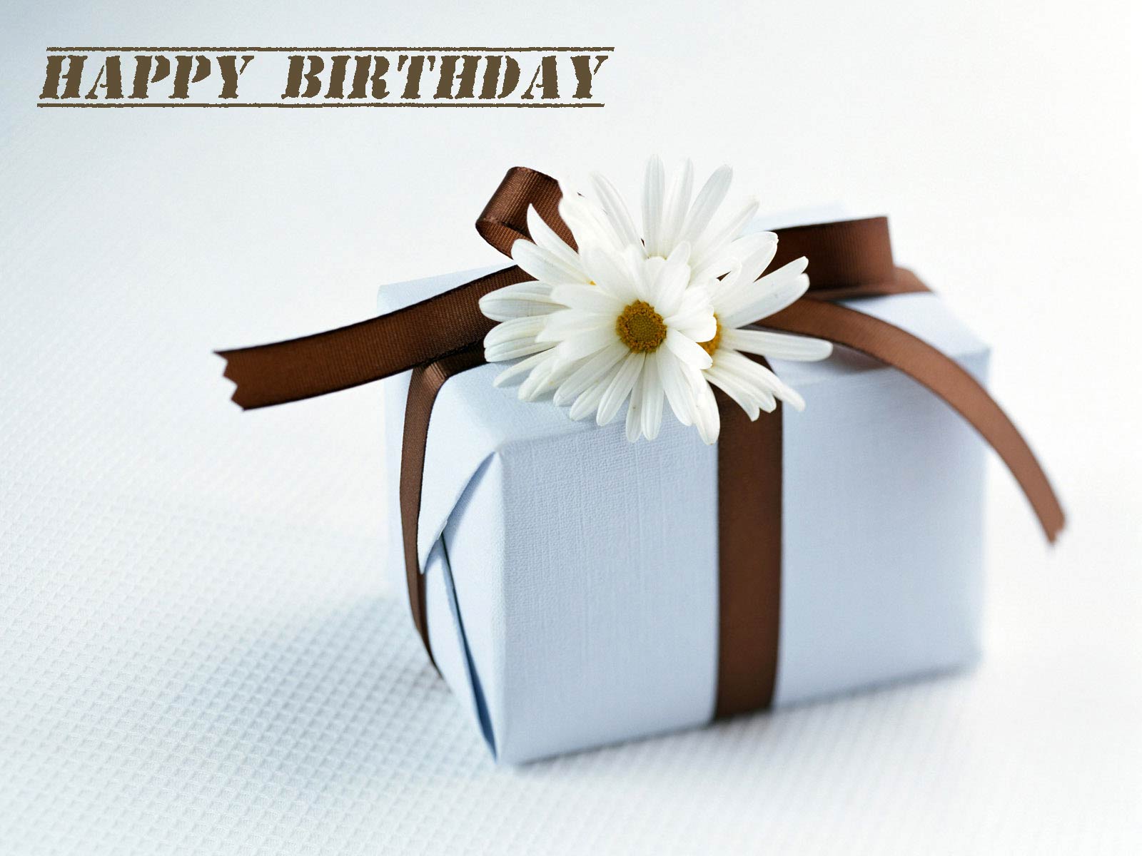 Lovely and Interesting Birthday Wishes That Can Make Your Sister-in-law Smile 2
